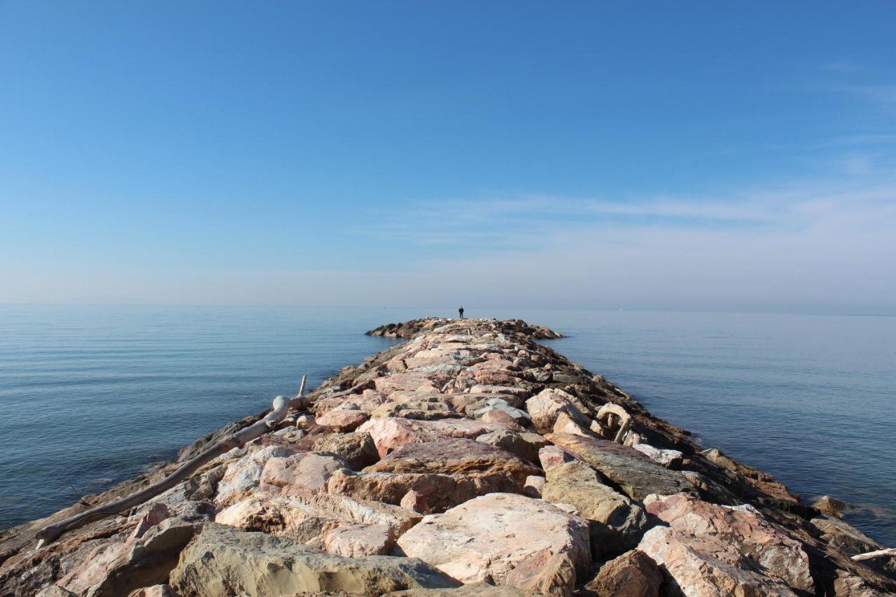 Hotel Massimo Marina di Cecina Dış mekan fotoğraf