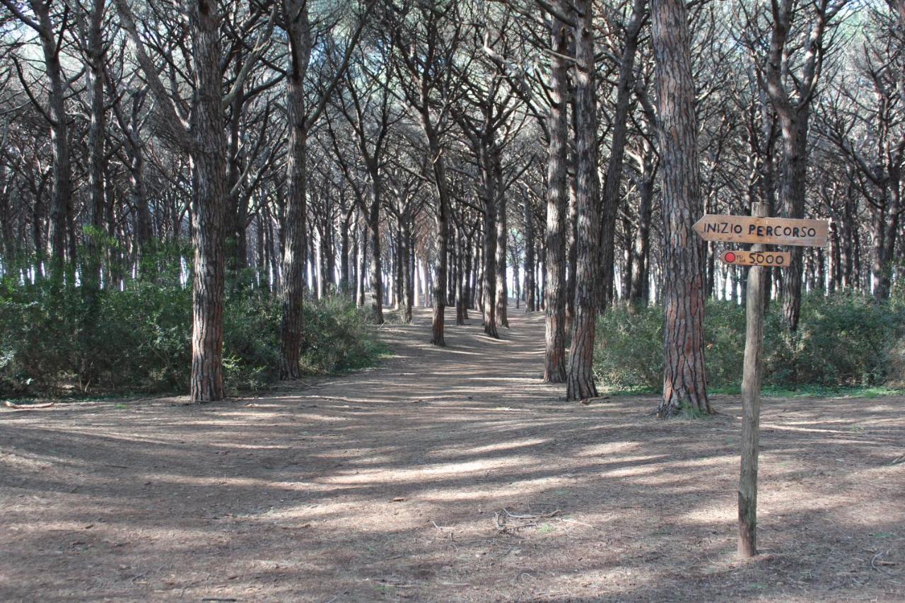 Hotel Massimo Marina di Cecina Dış mekan fotoğraf