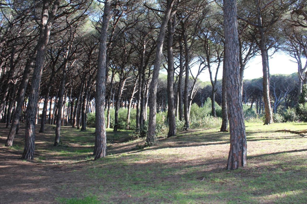 Hotel Massimo Marina di Cecina Dış mekan fotoğraf
